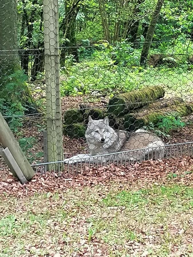 Ferienwohnung Am Wolfsweg Merzig Eksteriør billede