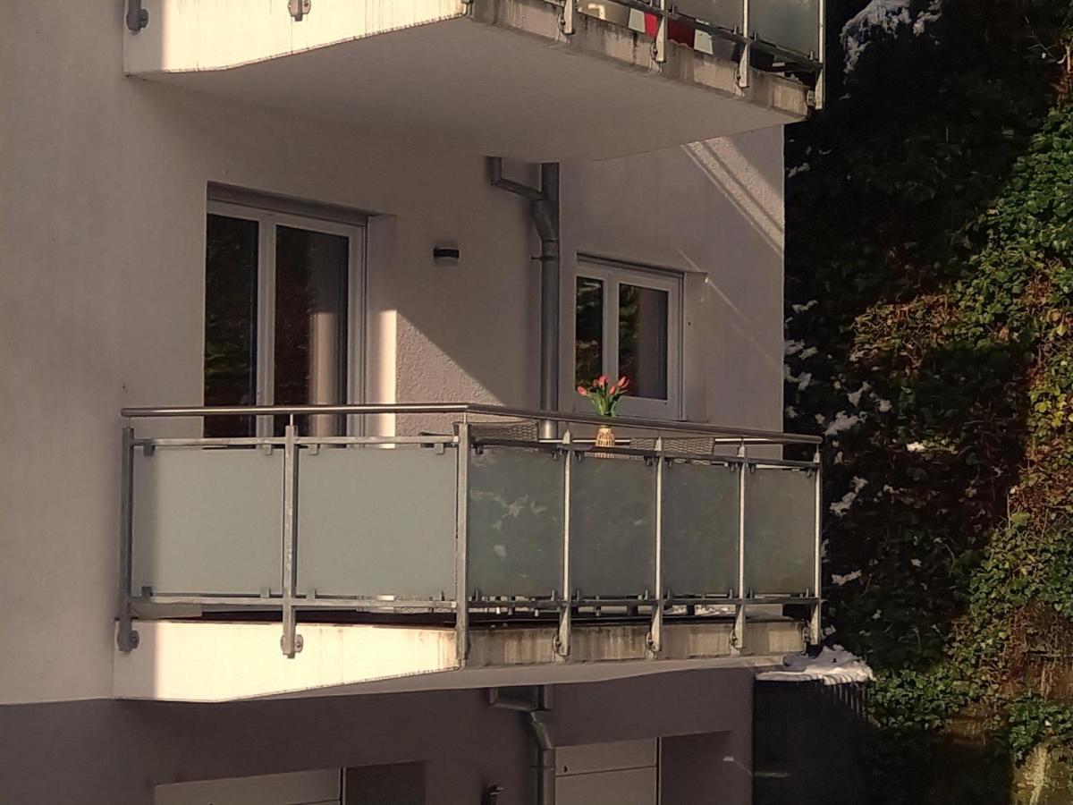 Ferienwohnung Am Wolfsweg Merzig Eksteriør billede